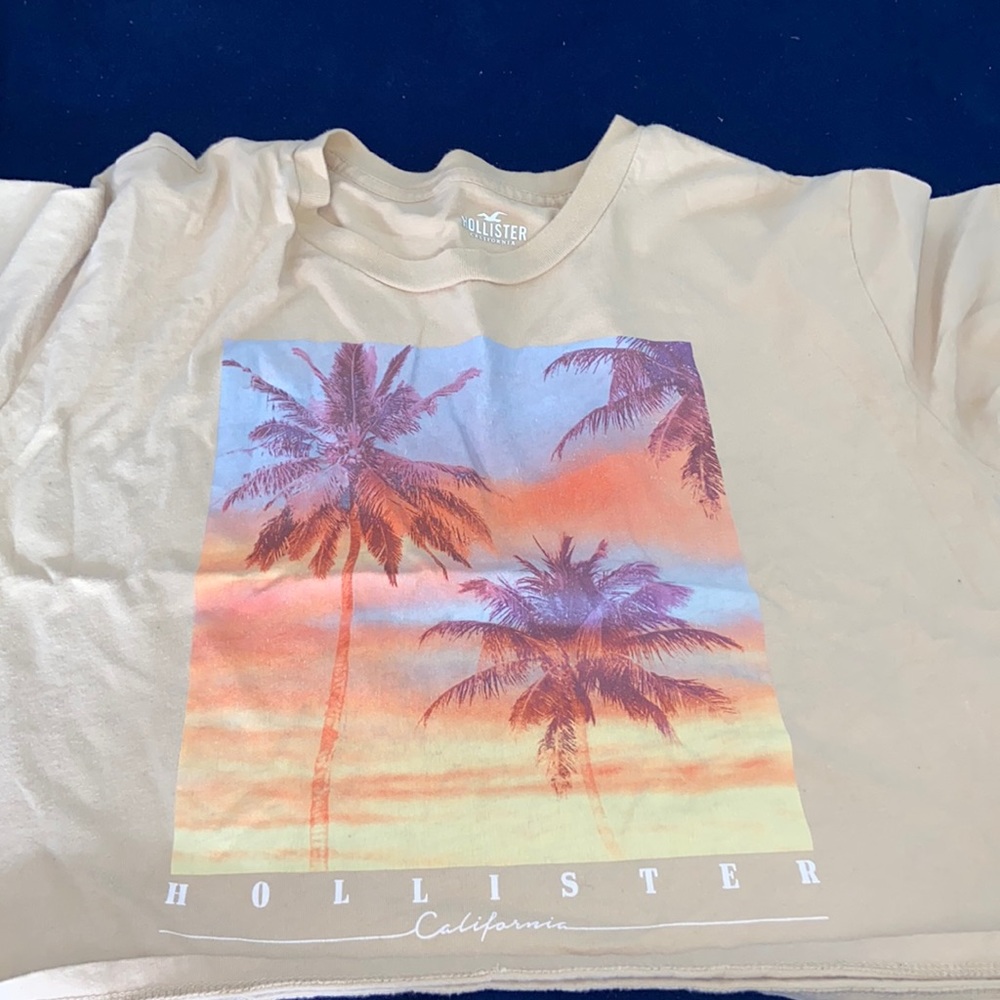 Hollister Top